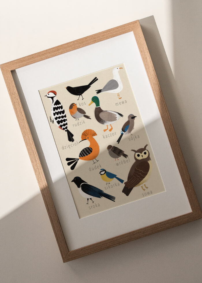 Birds – 3
